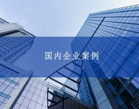 國(guó)內(nèi)企業(yè)