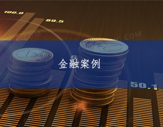 金融類(lèi)案例